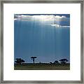 Masai Mara Sunrays Framed Print