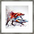 Startled Red Fox Framed Print