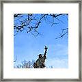Statue Of Liberty Back View Framed Print