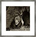 Staying Close-sepia Framed Print