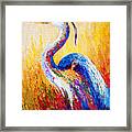 Steady Gaze - Great Blue Heron Framed Print