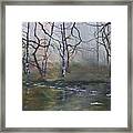 Stepping Stones On Cannock Chase Framed Print