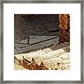 Steps Of Ephesus Framed Print