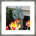 St.francis Framed Print