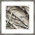 Stick With It Framed Print
