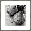 Still Life Of Three Pears Framed Print