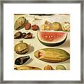 Still Life With Fruit With Scorpion And Frog Framed Print