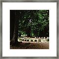 Stone Circle In The Forest Framed Print