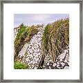 Stone Fence Cliffs Of Moher Ireland Framed Print