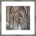 Stone Vaulted Nave Of Holyrood Abbey Framed Print