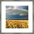 Storm Over Ripening Wheat Framed Print