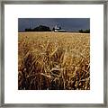 Storm Over Wheat Field Framed Print