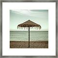 Straw Shader Framed Print