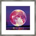 Strawberry Solstice Moon Framed Print