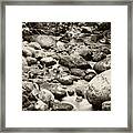 Nature In Silent Framed Print