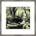 Stream In An Ancient Wood Framed Print