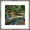 Stream In Autumn Forest Of Karkonosze Mountains Framed Print