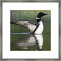 Stretching My Wings Framed Print