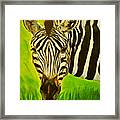 Stripes In Africa Framed Print