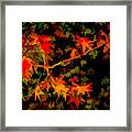 Study In Orange And Green Framed Print