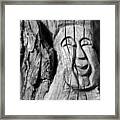 Stump Face 3 Framed Print