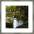 Subtropical Queensland Framed Print