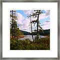 Sugar Pine Lake Trail Framed Print