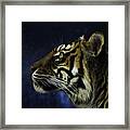 Sumatran Tiger Profile Framed Print