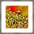 Summer Bugger Framed Print