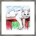 Summer Cat Framed Print