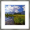 Summer Day Framed Print