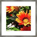 Summer Dreams Framed Print