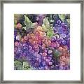 Summer Harvest Framed Print