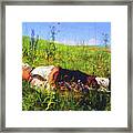 Summer Holidays Are For Dreaming Framed Print