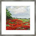 Summer Poppies Iv Framed Print
