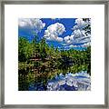 Summer Reflection Framed Print