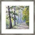 Summer Road Framed Print