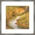 Summer Stream Framed Print