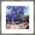 Summer Stroll Framed Print