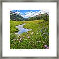 Summers In Crested Butte Framed Print