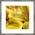 Summer's Personality Framed Print