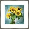 Sun Inside Framed Print