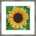 Sun One Framed Print