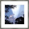 Sunbeam Framed Print