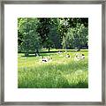 Sunday Afternoon At Waterlow Park Framed Print