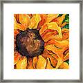 Sunflower #5 Framed Print
