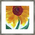 Sunflower 89 Framed Print