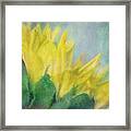 Sunflower Art Framed Print