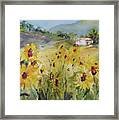 Sunflower Fields Framed Print