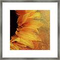 Sunflower Impression Framed Print